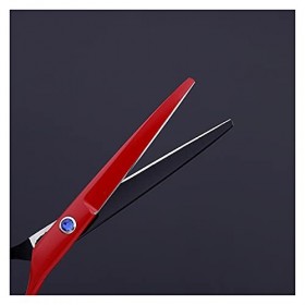 Ciseaux pour Coupe de Cheveux Ciseaux de Coiffeur de 6 Pouces, Ciseaux de Coiffure, Salon de Coiffure, Ciseaux Amincissants, 