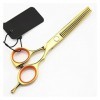 Ciseaux pour coupe de cheveux Ciseaux de coupe de cheveux dorés brillants de 6 pouces, Salon de coiffure, Coupe plate, Ciseau