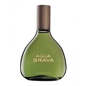 Puig 492-42529 Lotion Après-Rasage