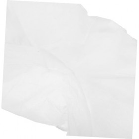 DRESSOOS 50 Pièces Housse De Berceau Avec Trou Housses De Berceau Pour Table De Massage Housse De Canapé Spa Housse De Coussi