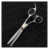 Ciseaux pour coupe de cheveux, ciseaux de coiffure de 6 pouces, coupe de cheveux, ciseaux de coiffeur, ciseaux de coiffeur, c