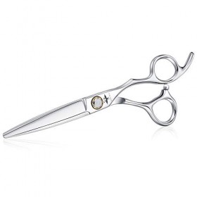 Ciseaux Coiffure Ddébutant Ciseaux Cheveux Professionnel Ciseaux Coiffure Taille 6 Pouces dargent Acier Inoxydable Japonais 