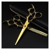 Ciseaux pour couper les cheveux Ensemble de ciseaux de coiffure dorés de 6 pouces, ciseaux de coiffure et ciseaux à effiler, 