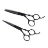 FOMIYES 2 Pièces Ensemble Ciseaux De Coiffure Tondeuses Professionnelles Pour Barbiers Ciseaux Amincissants Ciseaux De Coupe 