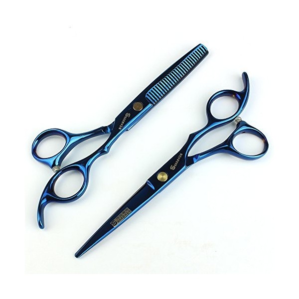 6,0 pouces Ciseaux professionnels Hair Dilution Hair Salon Ensemble doutils coupe-cheveux Spécialiste des coiffeurs Bleu sc