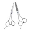 FOMIYES 2 Pièces Ciseaux Pour Gauchers Ciseaux De Coiffure Ciseaux De Salon Outils Pro Outils De Coiffure Ensemble De Soins C