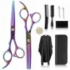 10 Pcs Kit de Ciseaux Coiffure,Ciseaux Coiffure Professionnel, Inox Ciseau Coiffeur,6.7 Pouces Ciseaux Desepaississant Cheveu