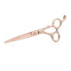 2 Ciseaux Coiffure Professionnel Inox Kits de Ciseaux de Coiffure Efiler Désépaissir Cheveux 6 Pouces Rose Gold 440c Acier Ja