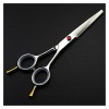 Ciseaux pour coupe de cheveux Ciseaux de coiffure de 5,5 pouces, ciseaux de coiffure, ciseaux de coiffure amincissants, cisea