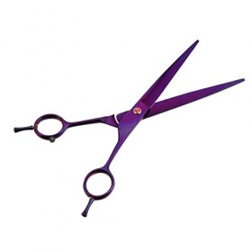 FRCOLOR 1 paire de ciseaux de coiffure professionnels pour coiffeurs, coupe-oignons, ciseaux de coiffeur professionnels, tond