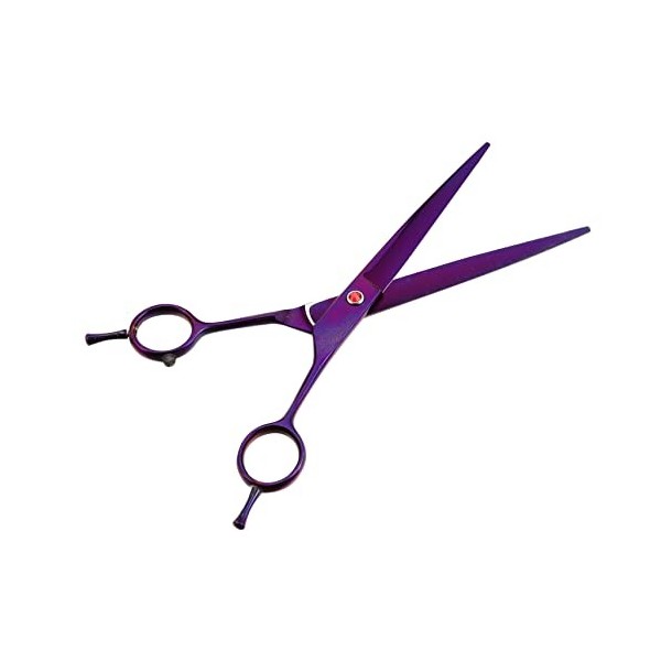 FRCOLOR 1 paire de ciseaux de coiffure professionnels pour coiffeurs, coupe-oignons, ciseaux de coiffeur professionnels, tond