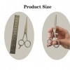 RIJPEX Kit de ciseaux de coupe de cheveux 5,5 Argent Ciseaux de barbier pour homme Coupe de barbe Ciseaux de beauté Ciseaux d