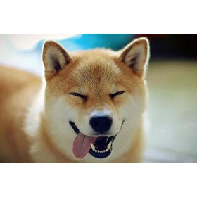 Tondeuse Nez Oreilles, Coupe Poil Nez Sans Douleur, Tondeuse Nez Oreilles Imperméable,USB RechargeableTondeuse Nez pour Nez &