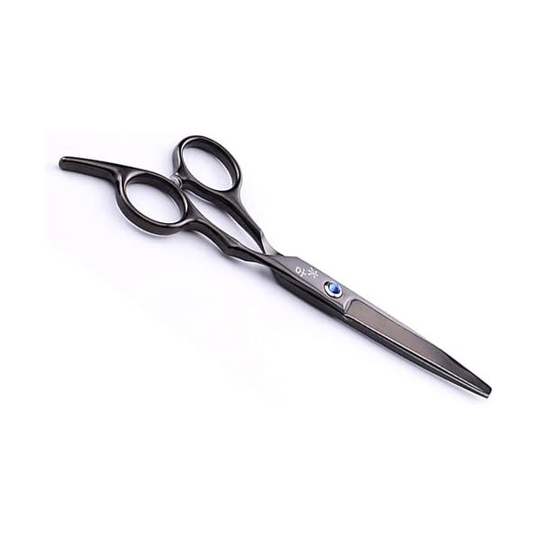 Ciseaux de coiffure professionnels de 15,2 cm en acier inoxydable parfaits pour salon de coiffure, coiffeur et usage domestiq