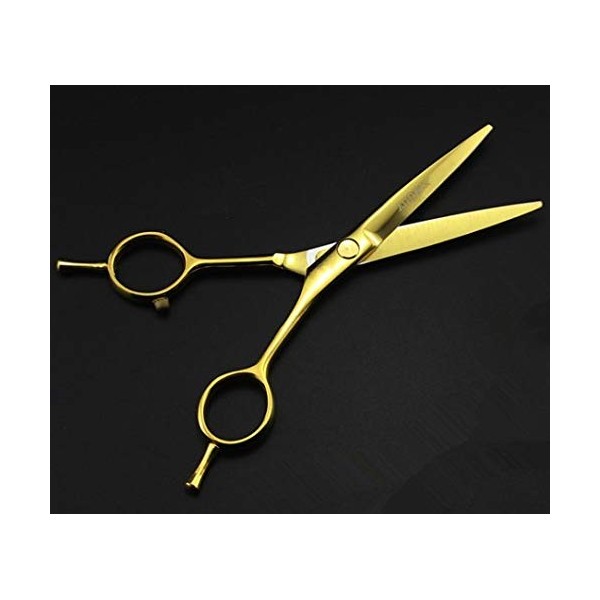 Ciseaux de coupe de cheveux, 5,5 pouces Ciseaux à effiler professionnels à 2 queues en or pour couper les cheveux de coiffeur