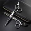 Argent Professionnel Barber Ciseaux Amincissants Ciseaux Coiffure Set 5.5/6.0 Pouces Haut de Gamme Ice Forging élégante Coupe