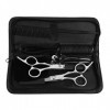 xuangui Ylingling Store 9PCS / Set Haircut Scissor Set Utile Hairdressing Tool Hair Supplies Supplies Ciseaux Kit de Peigne 