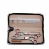 GaoF Ensemble de Coiffure Professionnel pour Coiffeur de 6 Pouces, Combinaison de Ciseaux de Coiffure pour ménage Plat + à De