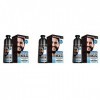 CARMIN 3X Shampooing Permanent de Colorant de Barbe pour Barbe Mourant Enlèvement Blanc Gris Barbe Cheveux Barbe Shampooing 2