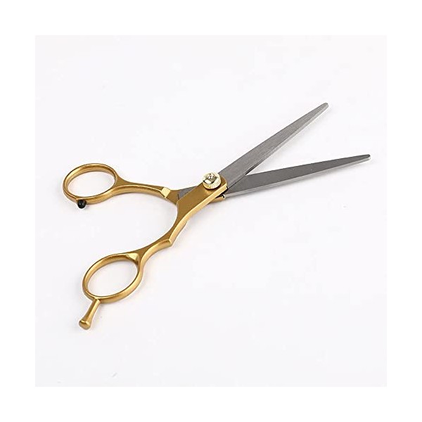 OUYOXI Ciseaux De Coiffeur, 6 Pouces De Poche Coiffeur Coiffeur Coiffeur Courbé pour La Coupe De Cheveux Beauté Coiffeur Cise