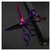 Ciseaux pour coupe de cheveux Ciseaux de barbier pour gauchers, ciseaux de barbier violets de 6 pouces, ciseaux de coiffeur, 