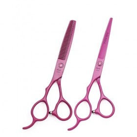 EVANEM Ensemble de ciseaux de coupe de cheveux Ensemble de ciseaux de coiffure en acier inoxydable Ensemble de cisailles de c