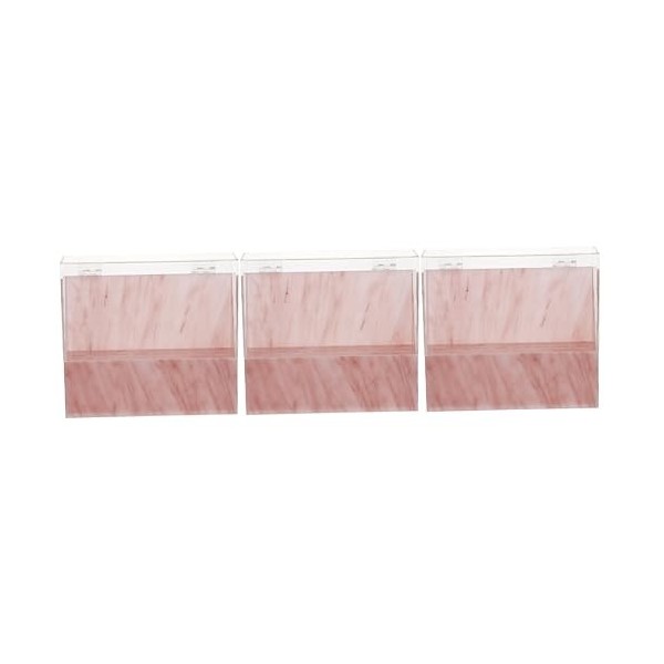 minkissy 2 Pièces Boîte De Rangement Porte-pincettes Contenant Daffichage De Maquillage Étui Organisateur De Pincettes Récip