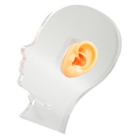 Modèle de Fausse Oreille, Moule daffichage dOreille en Silicone Réaliste, Souple et Flexible avec Support en Acrylique pour
