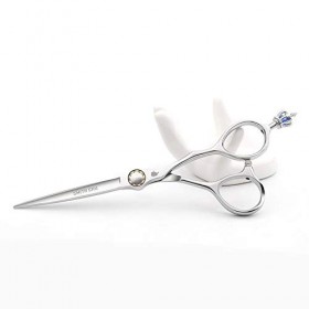 6.5 pouces en acier inoxydable 440C japonais haut de gamme coiffeur ciseaux de coiffure professionnels coiffeur outils spécia