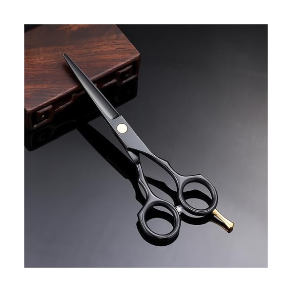 Kit de ciseaux de coiffure, 5,5 pouces de caisson de coiffis noir et argenté 6Cr Ciseaux plats Ciseaux ciseaux de cheveux cas