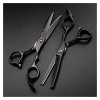 Ciseaux pour coupe de cheveux Ciseaux de coiffure de 5,5/6 pouces, ciseaux de coiffure, ciseaux de coiffure amincissants, cis