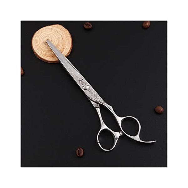 Ciseaux pour coupe de cheveux Ciseaux de coiffure à motif zèbre, cheveux professionnels à bord de rasoir, ciseaux plats, cise