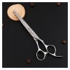 Ciseaux pour coupe de cheveux Ciseaux de coiffure à motif zèbre, cheveux professionnels à bord de rasoir, ciseaux plats, cise