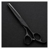 Ciseaux pour Coupe de Cheveux Ciseaux de Coiffeur Noirs de 6 Pouces, Amincissement des Cheveux, Ciseaux de Coiffeur, Ciseaux 