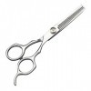 SENFEISM Ciseaux de coiffeur professionnels 15,2 cm