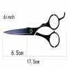 SENFEISM Ciseaux de coiffeur professionnels 15,2 cm