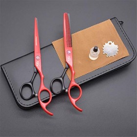 Ciseaux Professionnel Barber Kit, 6.0 Pouces Salon De Coiffure Ciseaux Set, Dilution Ciseaux Et Plat Ciseaux, Léger Et Sharp,