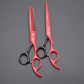 Ciseaux Professionnel Barber Kit, 6.0 Pouces Salon De Coiffure Ciseaux Set, Dilution Ciseaux Et Plat Ciseaux, Léger Et Sharp,