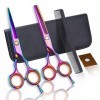 Coloré Professional 5.5pouces haut de gamme Coiffeuse Ciseaux de coiffure Set Barber coupe ciseaux Texture Dilution Cisailles