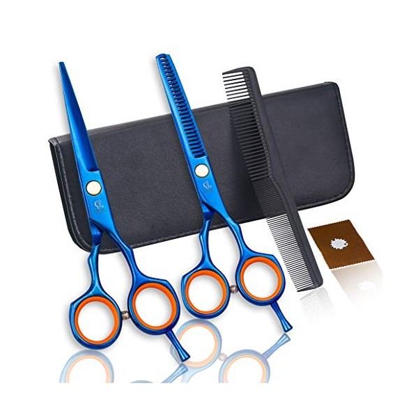 Bleu Professional 5.5 Pouces Haut de Gamme Coiffeuse Ciseaux de Coiffure Set Barber Coupe Ciseaux Texture Dilution Cisailles 