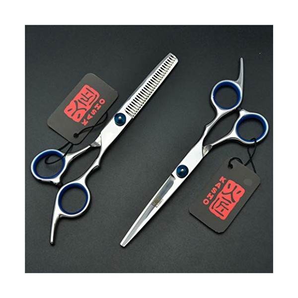 Cheveux Professionnel Ciseaux de Coupe Haut de Gamme droitier 6,0 Pouces Set 4CR Acier Haircut Ciseaux pour Salon de Coiffure