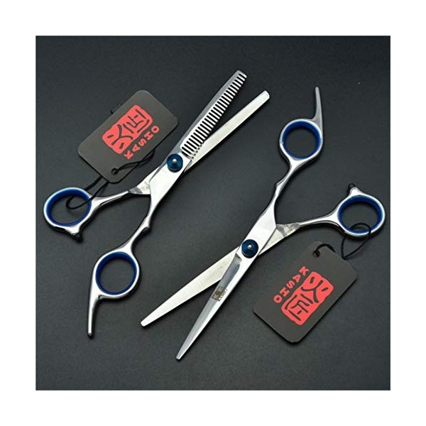 Cheveux Professionnel Ciseaux de Coupe Haut de Gamme droitier 6,0 Pouces Set 4CR Acier Haircut Ciseaux pour Salon de Coiffure