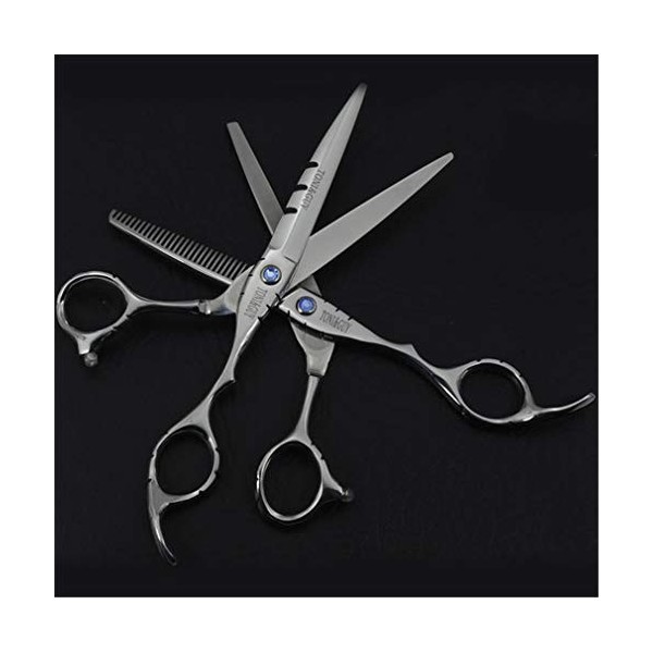 Couper Les Cheveux Ciseaux Set, 6,0 Pouces Haircut Ciseaux avec Ciseaux À Effiler Professionnel Coiffure Kit, Japonais en Aci