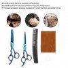 Kit de ciseaux de coupe de cheveux, professionnel en acier inoxydable pour coiffeur, cisaillement pour salon de coiffure