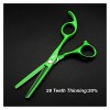 Ciseaux pour coupe de cheveux Ciseaux de coiffure professionnels Coupe Barbier Vert 5,5 pouces Ciseaux de cheveux Ciseaux de 