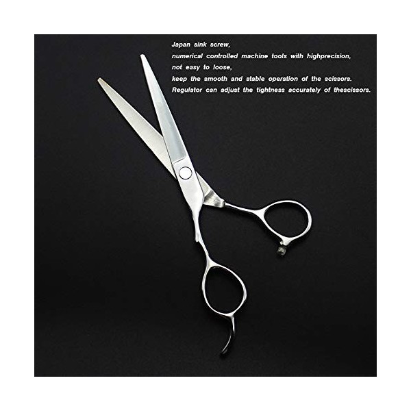 Ciseaux de Coupe de Cheveux, 5,5/6 pouces Professionnel 440c Argent Ciseaux de Coupe de Cheveux pour Gaucher Coupe de Coiffeu