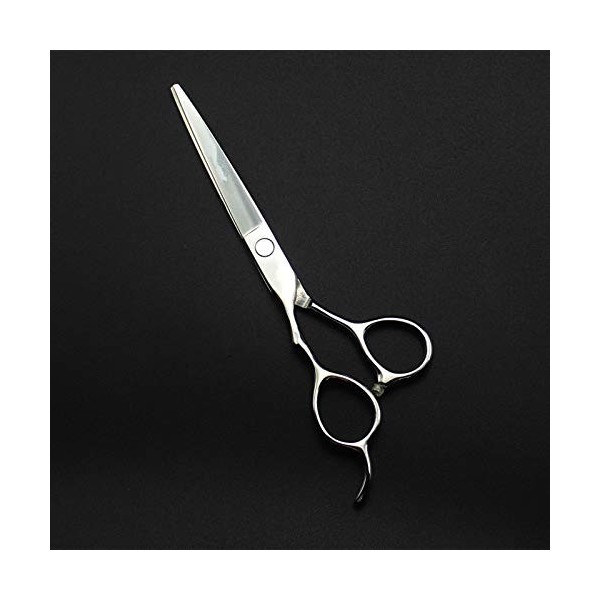 Ciseaux de Coupe de Cheveux, 5,5/6 pouces Professionnel 440c Argent Ciseaux de Coupe de Cheveux pour Gaucher Coupe de Coiffeu