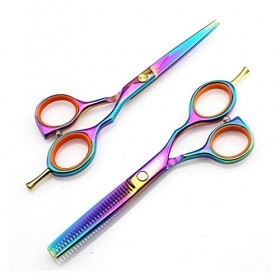 Ciseaux pour Coupe de Cheveux 5.5 Ciseaux de Coupe de Cheveux Arc-en-Ciel, Amincissement des Cheveux, Ciseaux de Coiffure, 