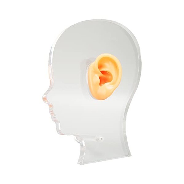 Moule daffichage dOreille, Modèle de Fausse Oreille, Simulation Flexible, Silicone Souple et étanche pour Hôpital pour Aide