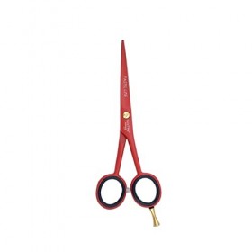 GOLDTON Pastel Rouge Ciseaux de coiffure 5.5 pouce - J2 Acier Japonais - Ciseaux de salon de coupe de cheveux et de barbe - T